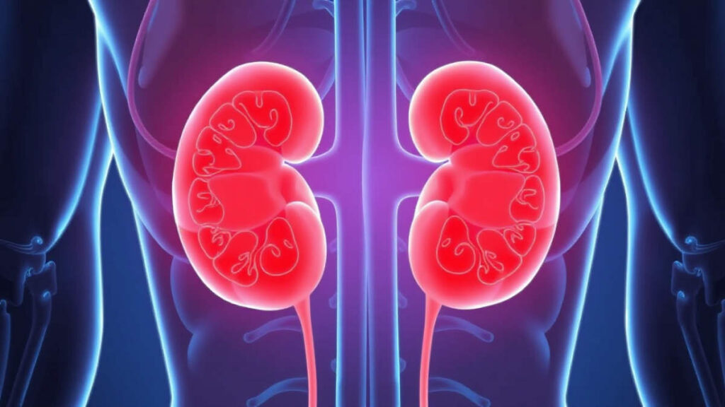 How Your Body Is Warning You About Kidney Problems